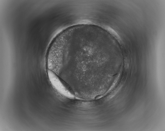 X0000111601326200908271001