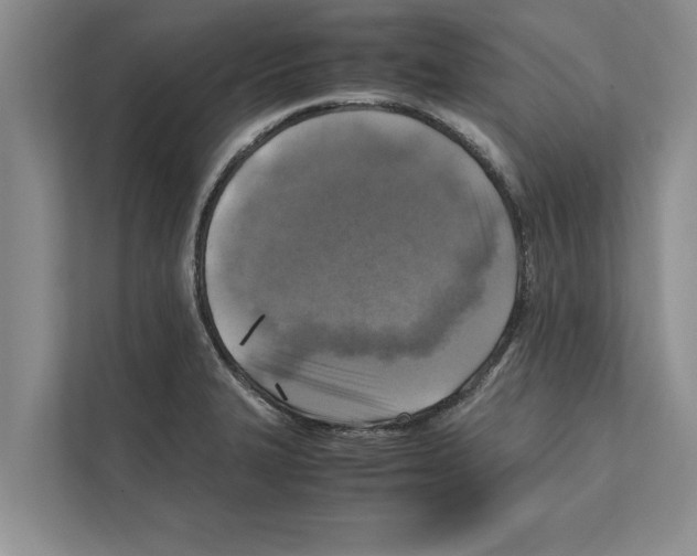 X0000111601327200908271001