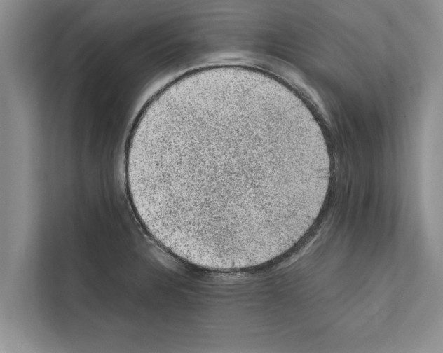 X0000111601328200908271001