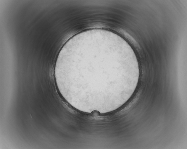 X0000111601329200908271001