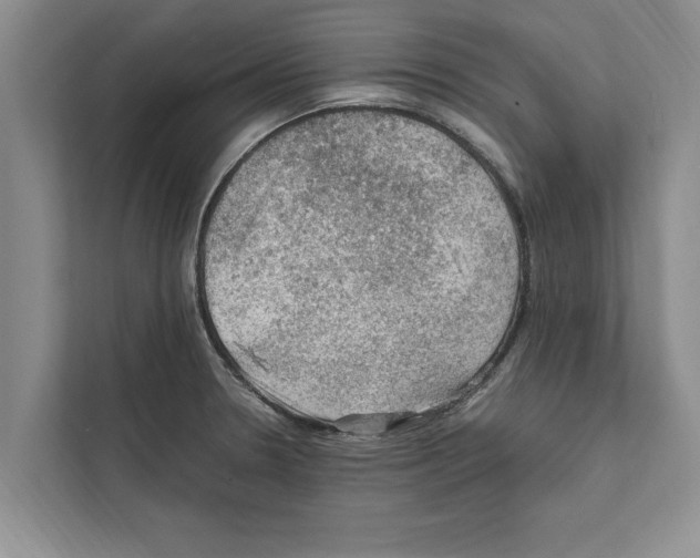 X0000111601330200908271001