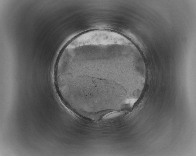 X0000111601331200908271001
