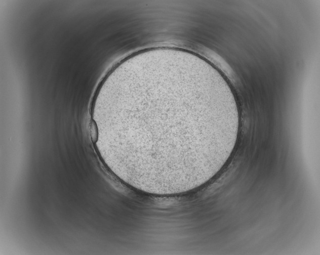 X0000111601332200908271001