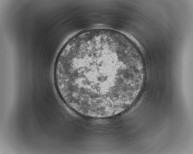 X0000111601333200908271001