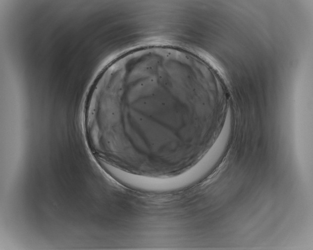 X0000111601334200908271001