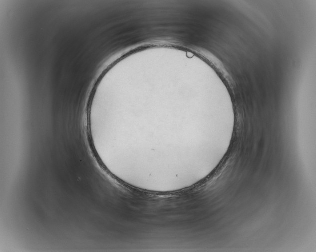 X0000111601335200908271001