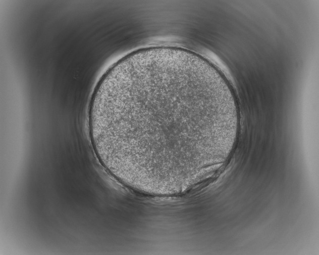 X0000111601336200908271001