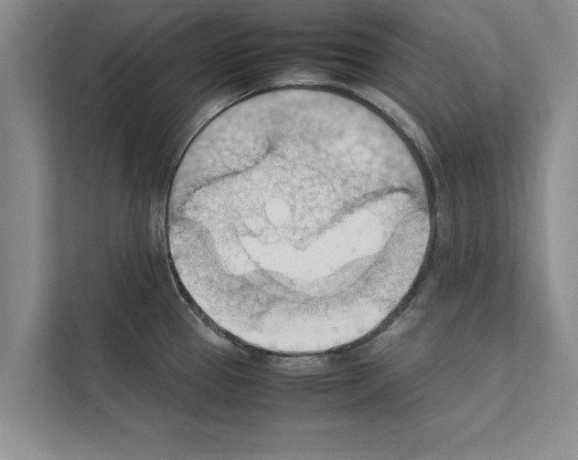 X0000111601337200908271001