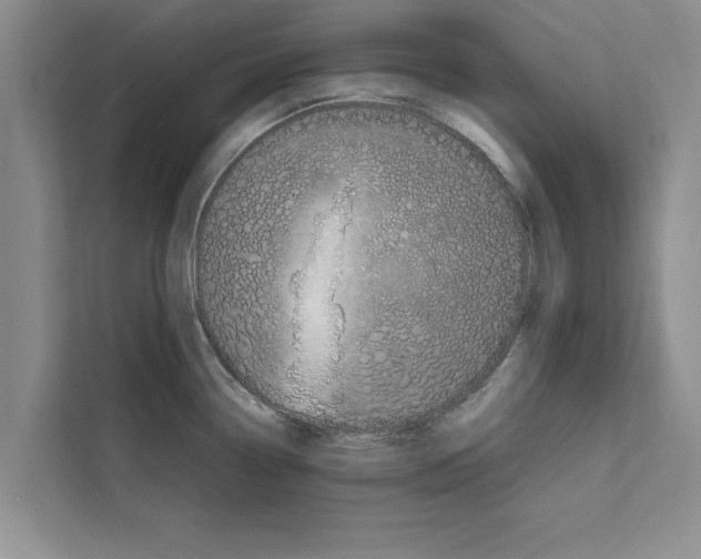 X0000111601338200908271001
