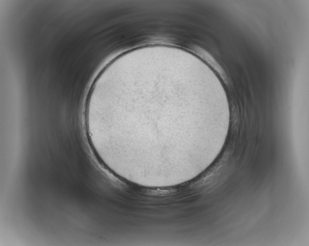 X0000111601339200908271001