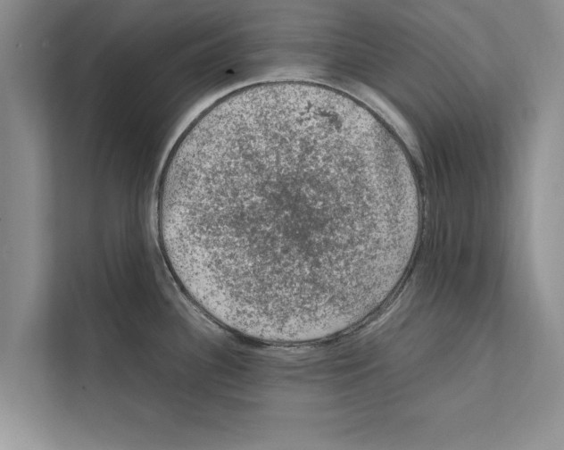 X0000111601340200908271001