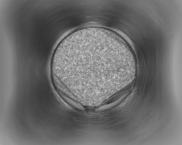 X0000111601341200908271001