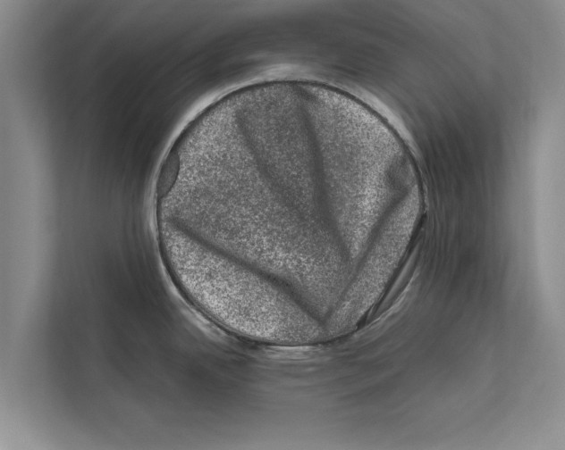 X0000111601342200908271001