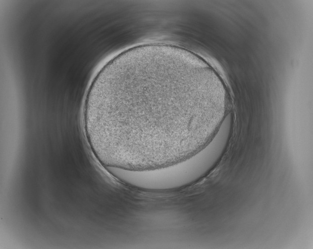 X0000111601344200908271001