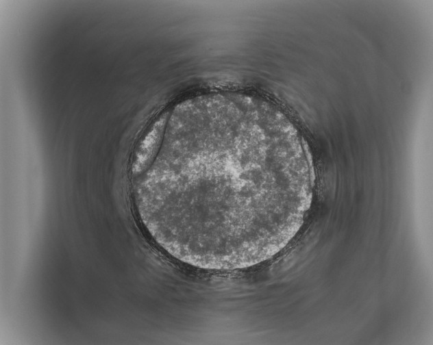 X0000111601345200908271000