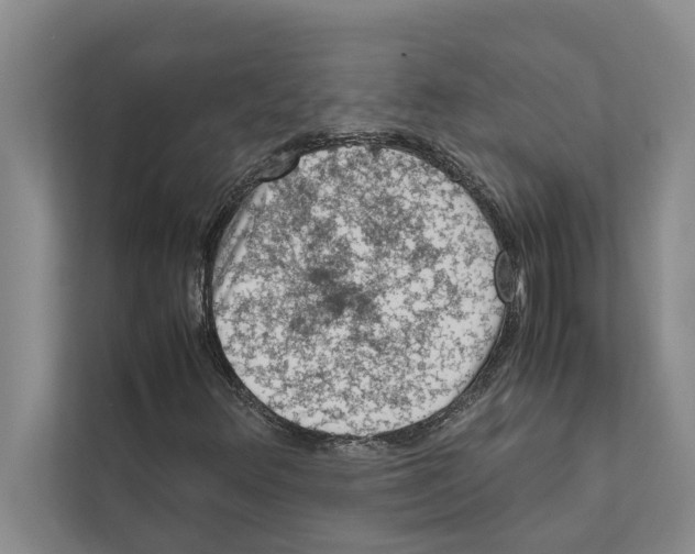 X0000111601348200908271000