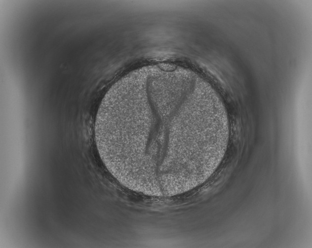 X0000111601349200908271000