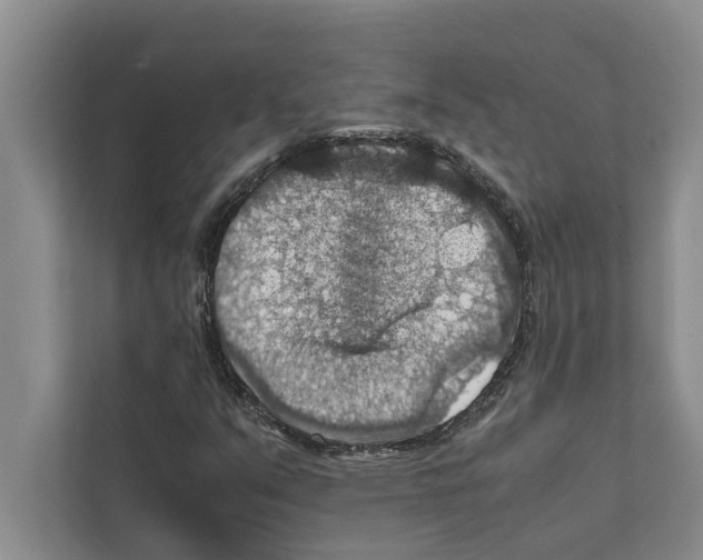 X0000111601351200908271000