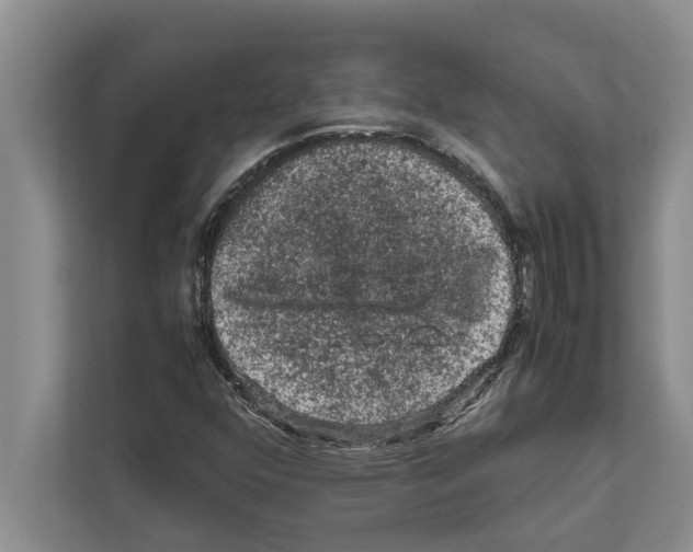 X0000111601352200908271000