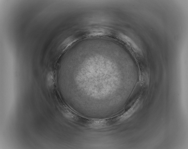 X0000111601353200908271000