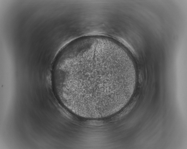 X0000111601356200908271000