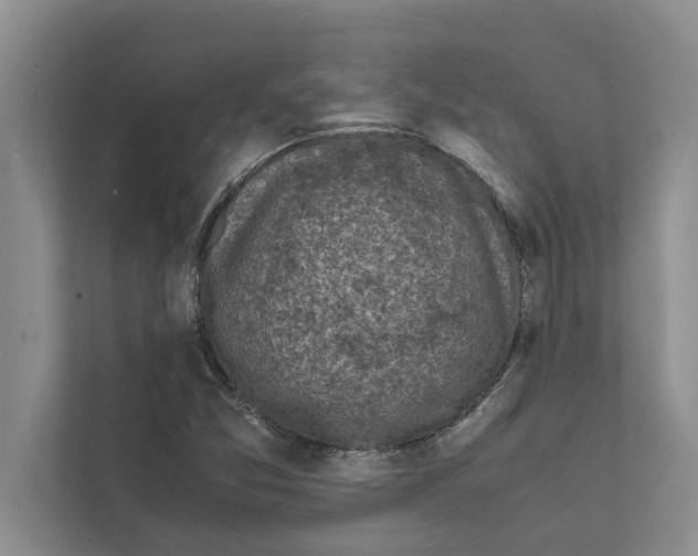 X0000111601357200908271000