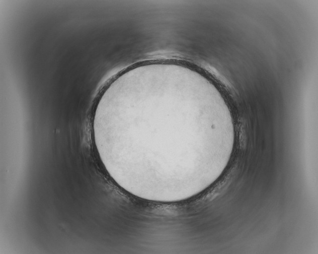 X0000111601358200908271000