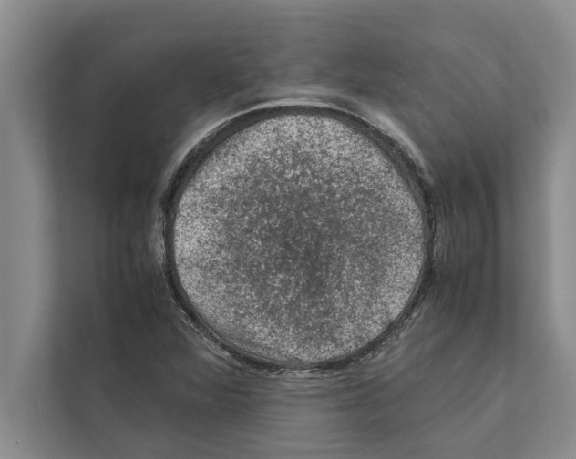X0000111601360200908271000