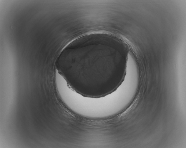 X0000111601361200908271000