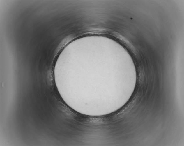 X0000111601362200908271000