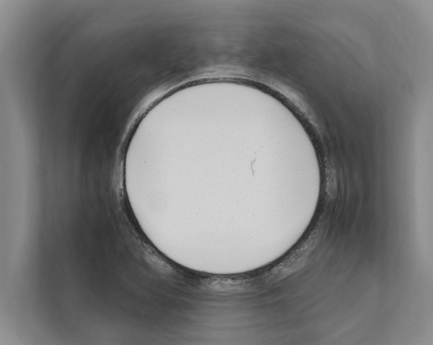 X0000111601366200908271000