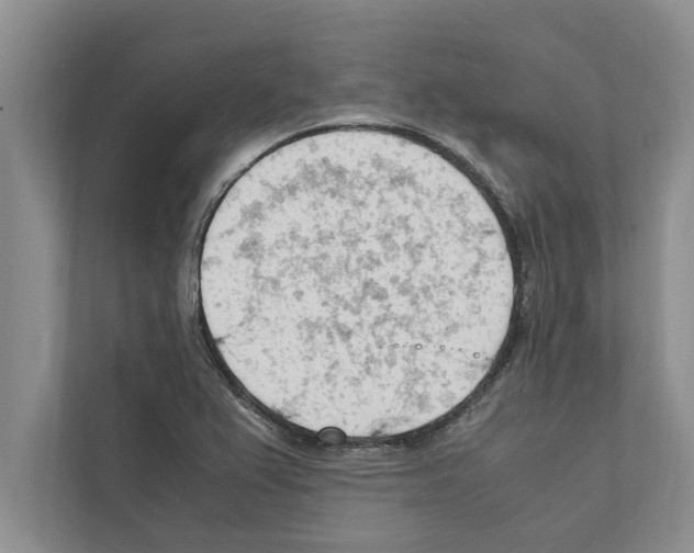 X0000111601367200908271000