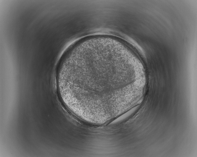 X0000111601368200908271000