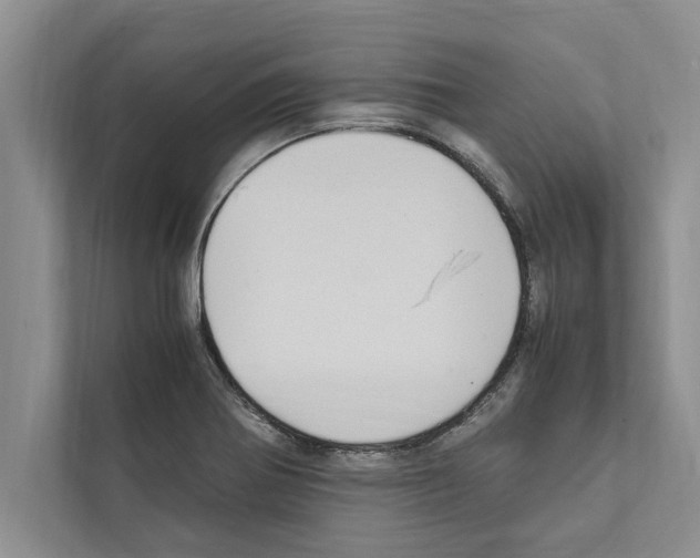 X0000111601370200908271000