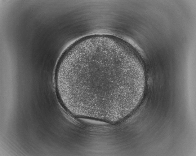 X0000111601372200908271000