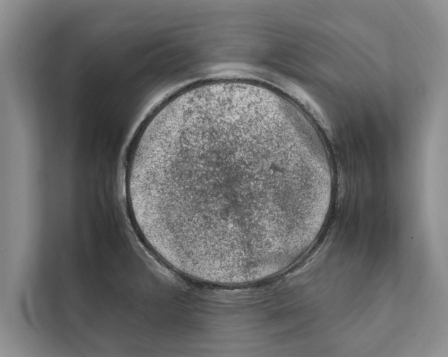X0000111601376200908271000