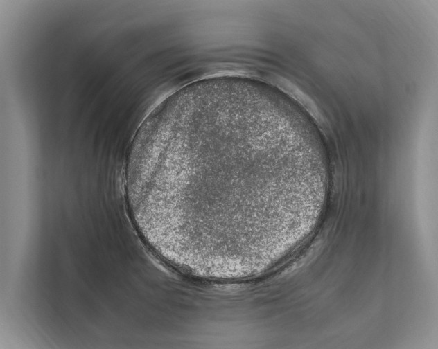 X0000111601377200908271000
