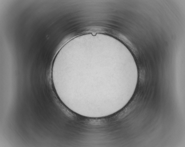 X0000111601378200908271000