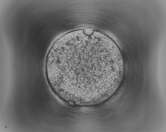 X0000111601379200908271000