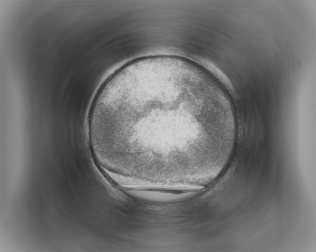 X0000111601380200908271000
