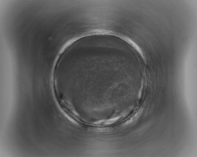 X0000111601381200908271000