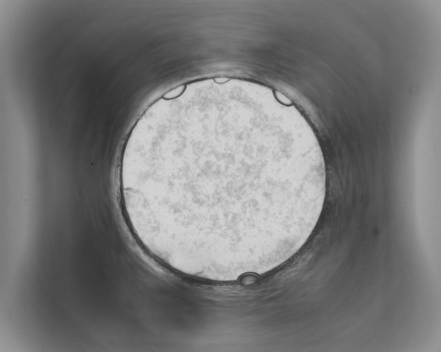 X0000111601383200908271000