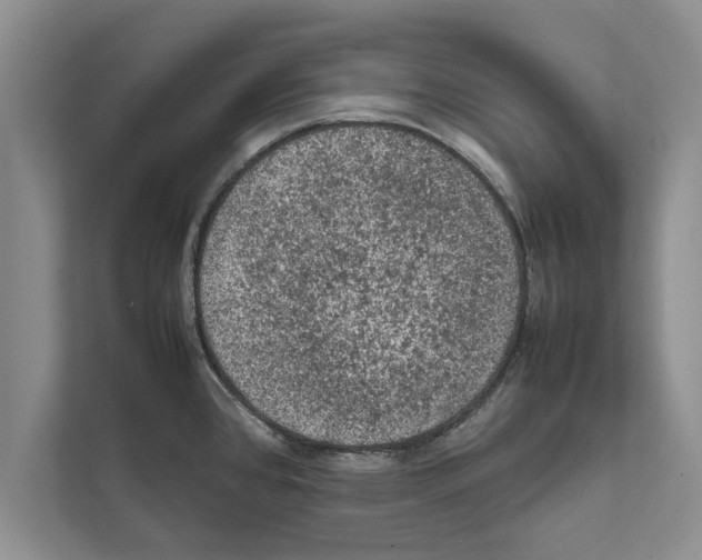 X0000111601384200908271000