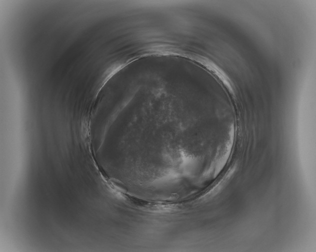 X0000111601385200908271000