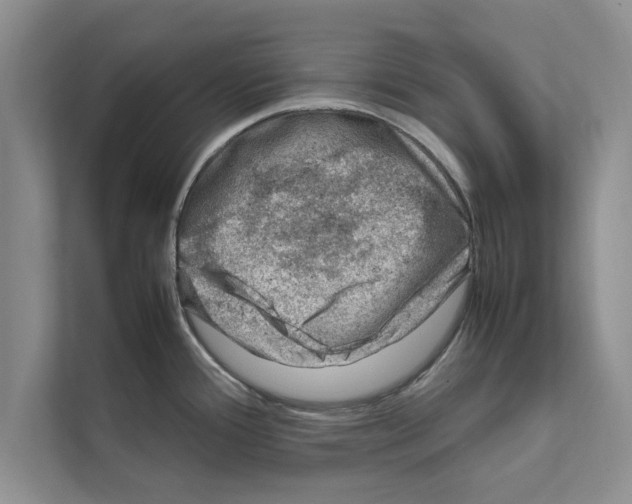 X0000111601388200908271000