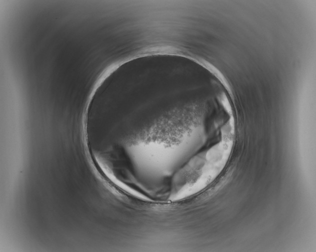 X0000111601389200908271000