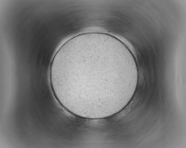X0000111601390200908271000