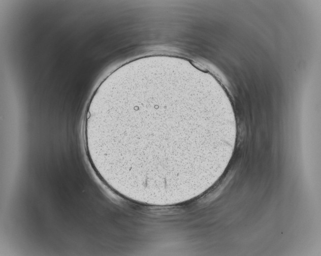 X0000111601391200908271000