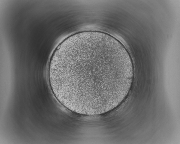 X0000111601392200908271000