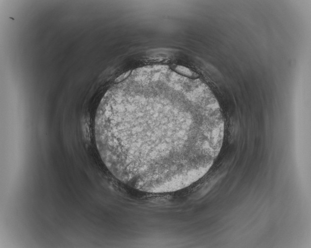 X0000111601394200908270959